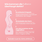 Vaginalflora Kapseln