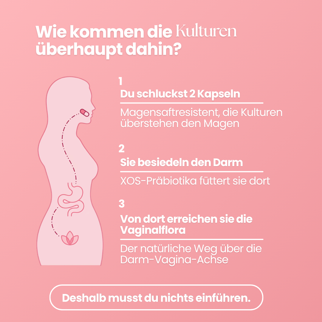 Vaginalflora Kapseln
